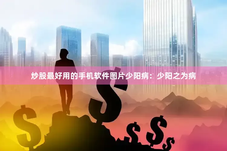 炒股最好用的手机软件图片少阳病：少阳之为病